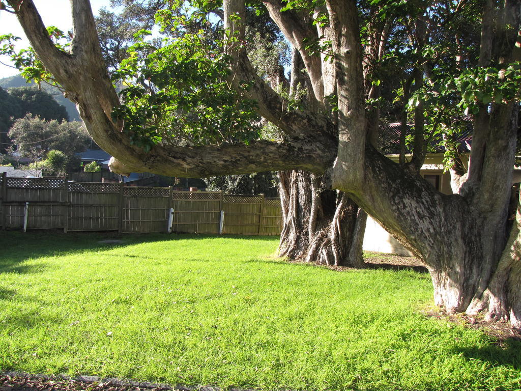 Pembrooke Motor Lodge Whangarei Buitenkant foto
